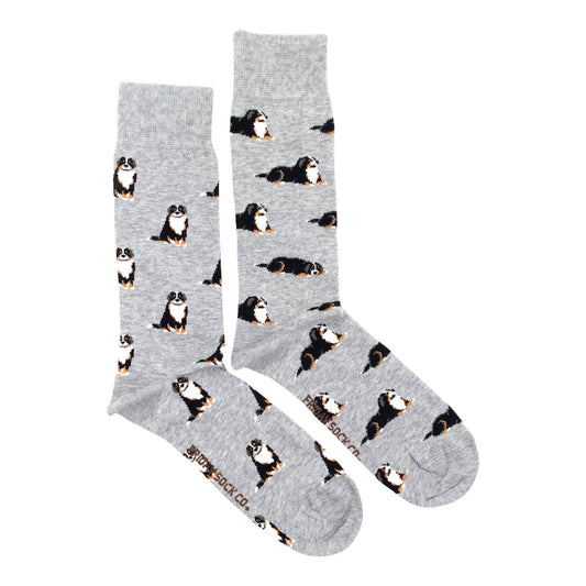 Men's Bernese Mountain Dog Socks