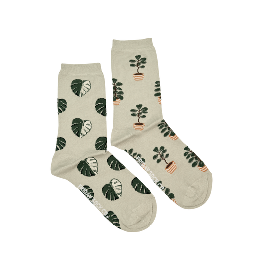 Women's Big House Plant Socks
