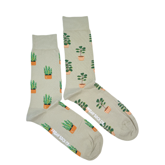 Men's Potted Plant Socks