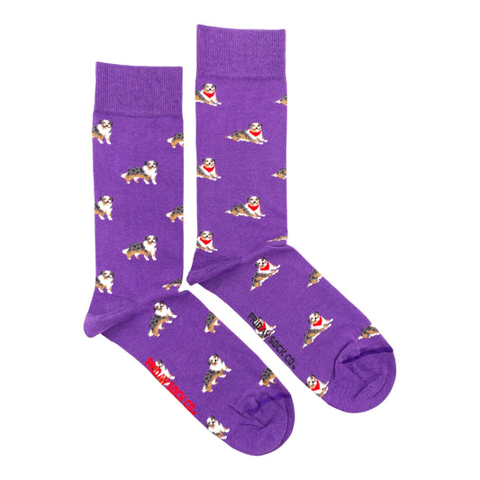 Men's Austraian Shepherd Socks