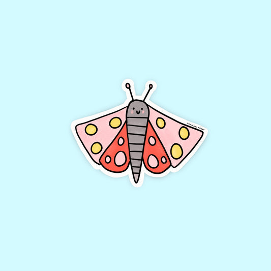 Colourful Moth