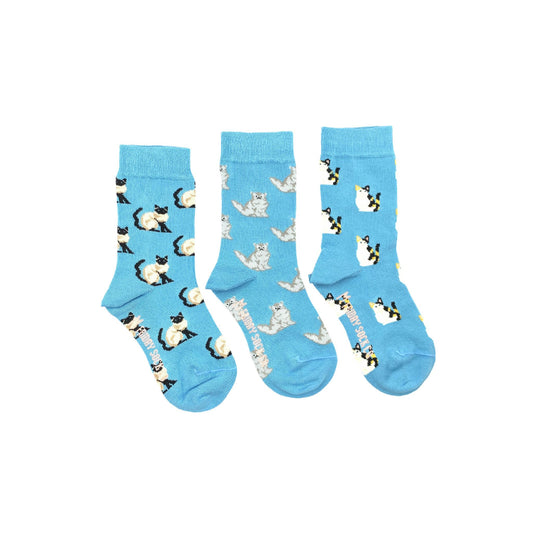 Kid's Three Cat Socks