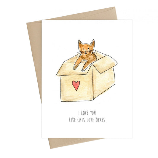 Love You Like Cats Love Boxes